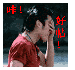 _16878863351094502069[1].gif
