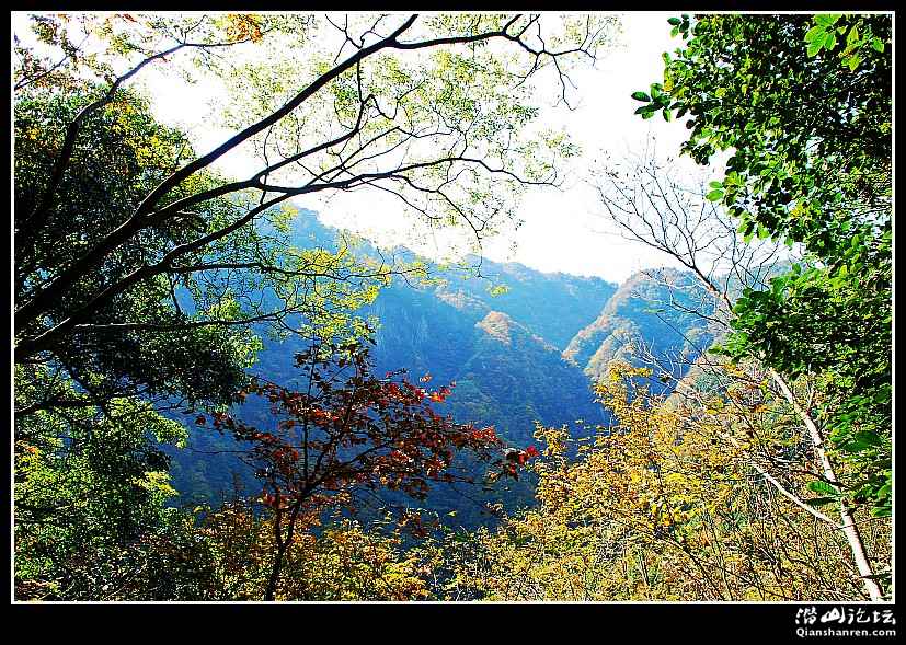 DSC_7167_conew1.jpg