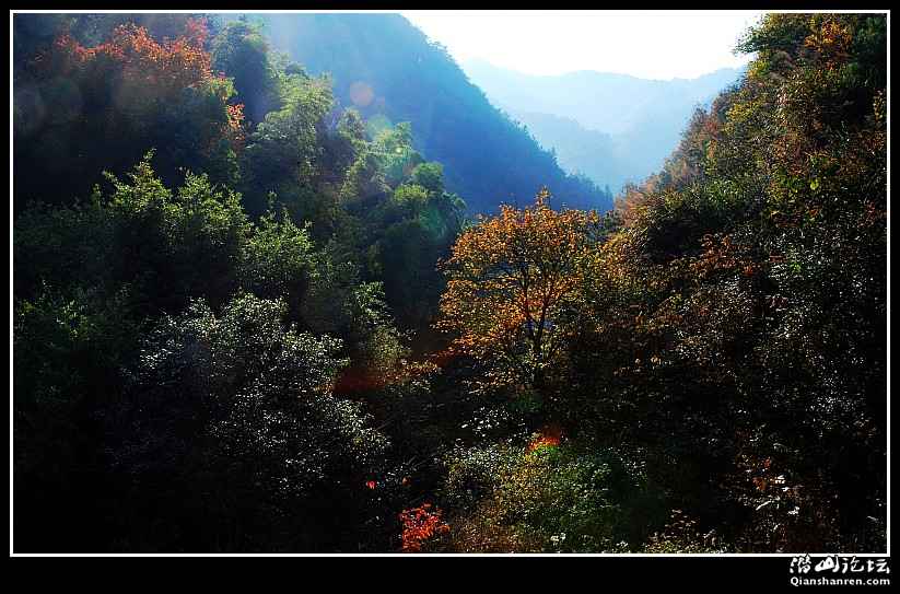 DSC_6985_conew1.jpg