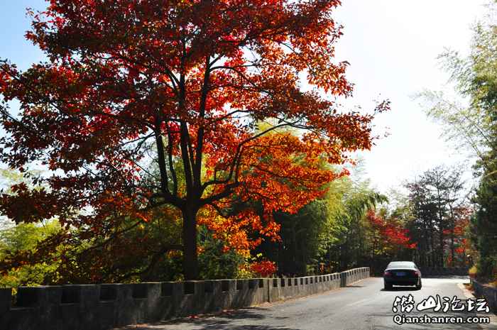 DSC_0824  һ.jpg