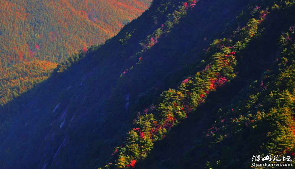 DSC_0604  .jpg