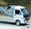20091226080553.gif