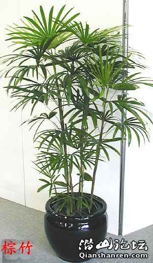 p9.jpg