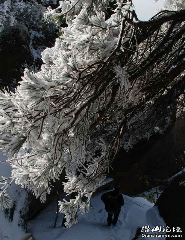 DSC_1964.jpg