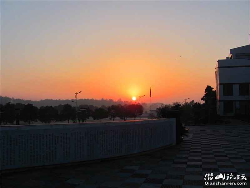 IMG_1437_.jpg