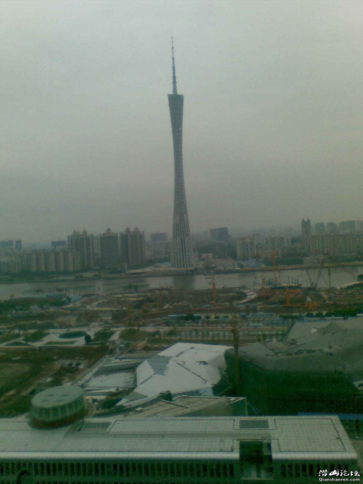 81ԶС