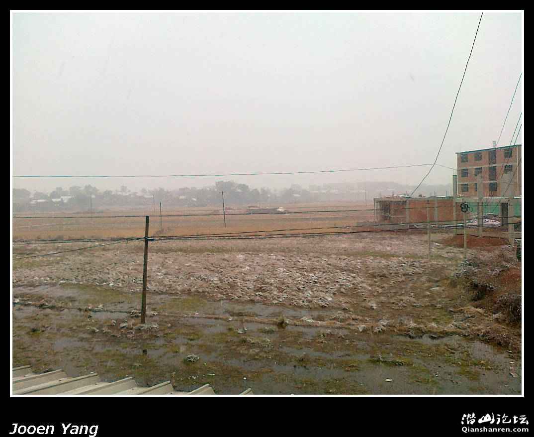 201101021731.jpg