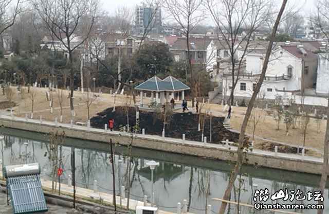 IMAG0142.jpg