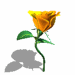 a5.gif