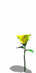 a3.gif