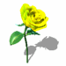 a2.gif
