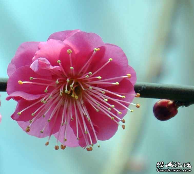 20110214÷԰4.jpg