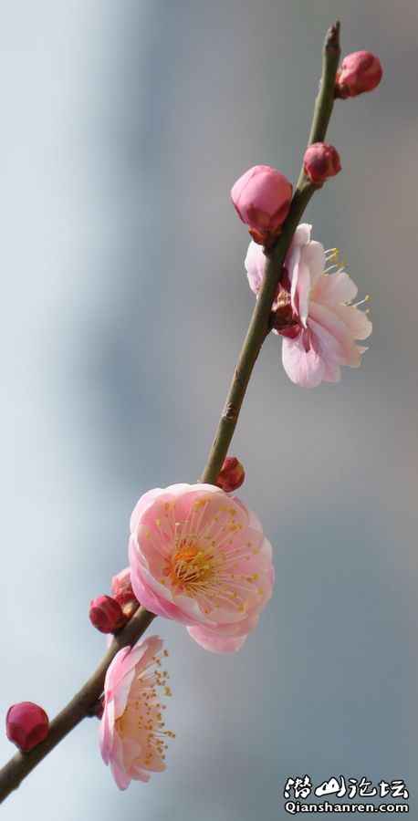 20110214÷԰14.jpg