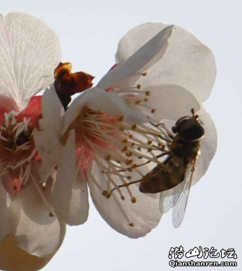 20110214÷԰15.jpg