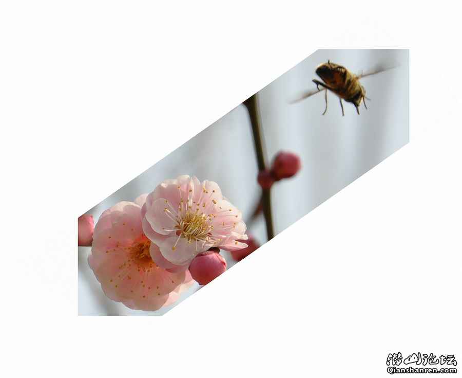 20110214÷԰16-.jpg