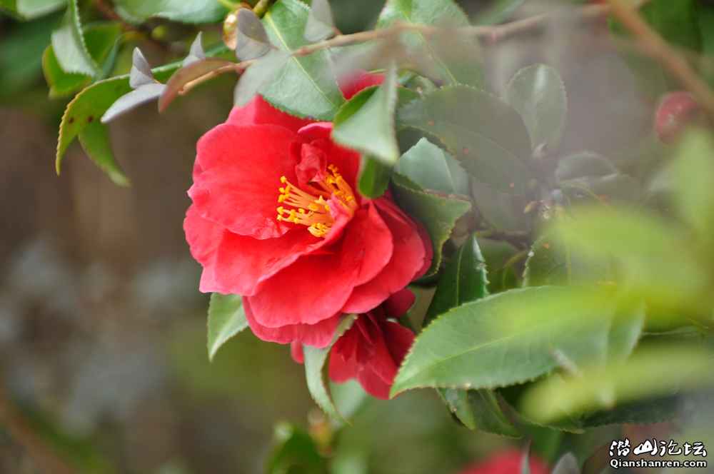 DSC_0049.jpg