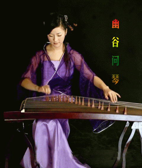 ���ݵ���.gif