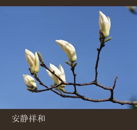 2008040620546160����.jpg
