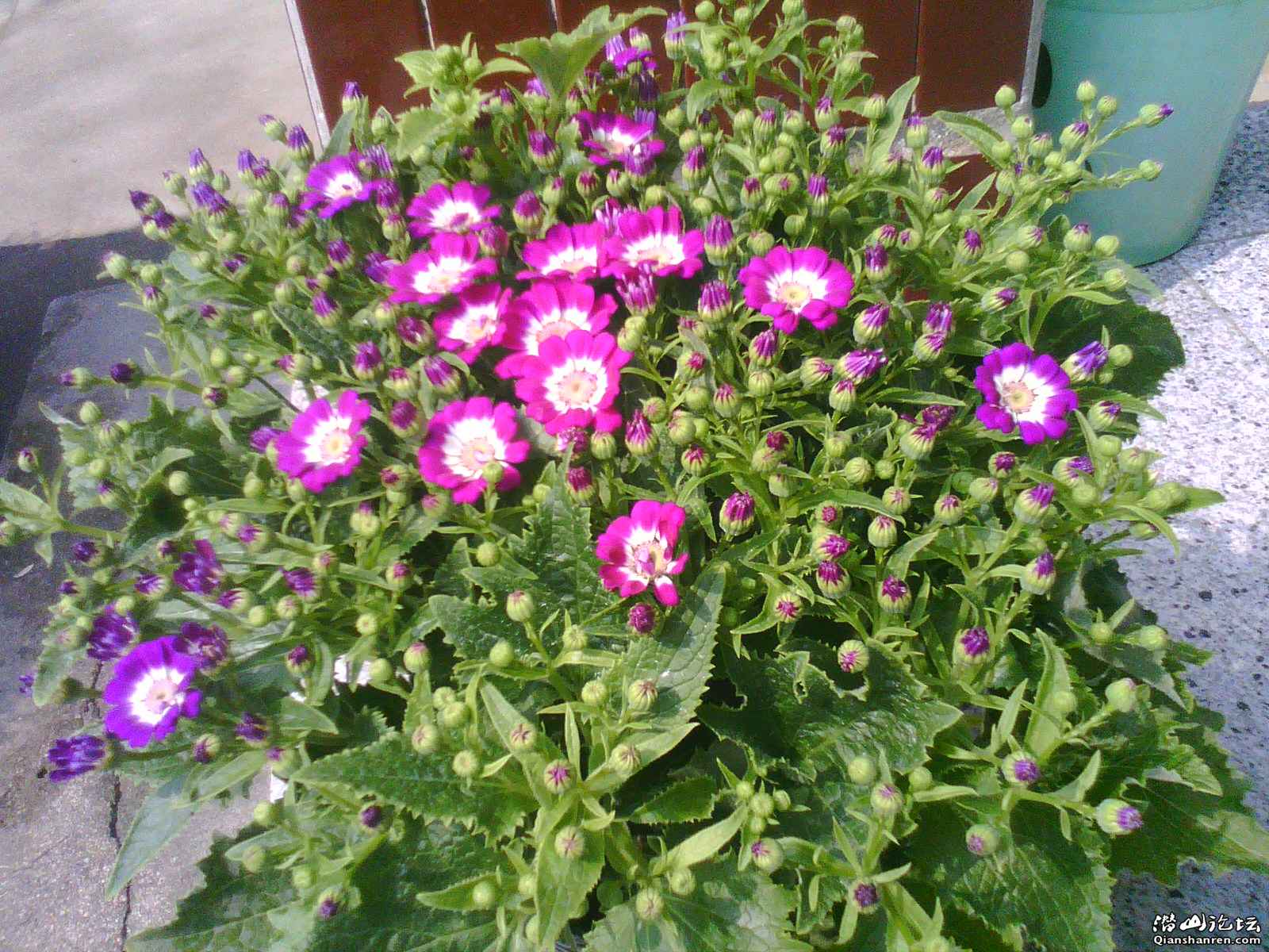 Img_00320.JPG