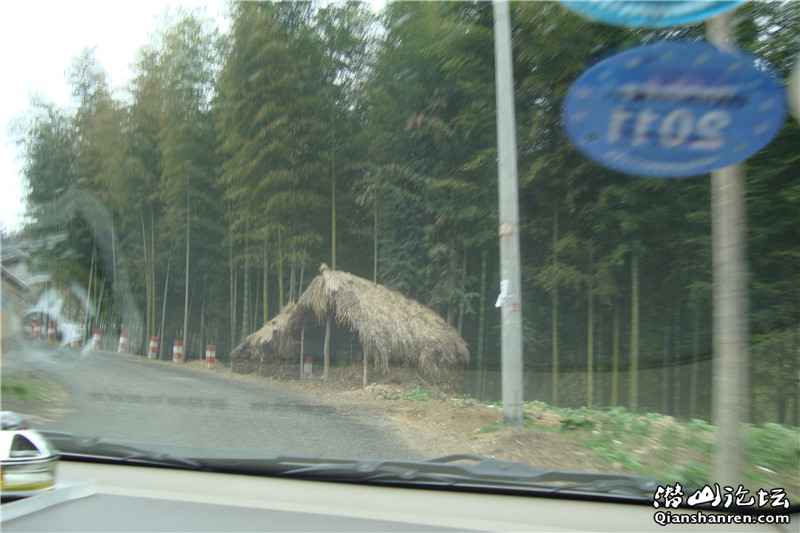 DSC09064_.jpg