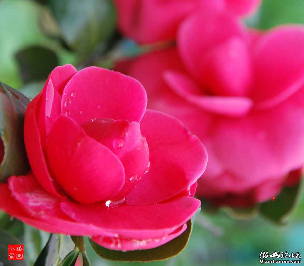 DSC_5631.jpg