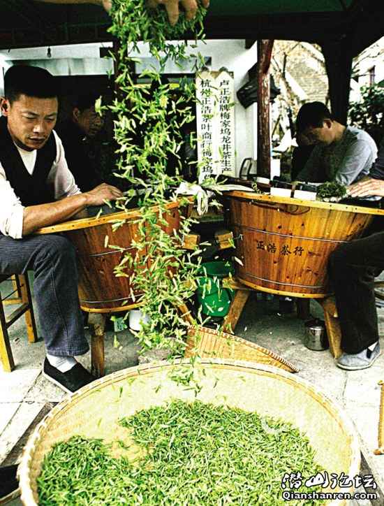 liangcha.jpg