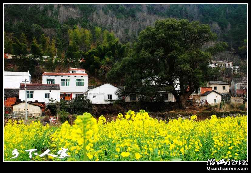 DSC_4659_conew1.jpg