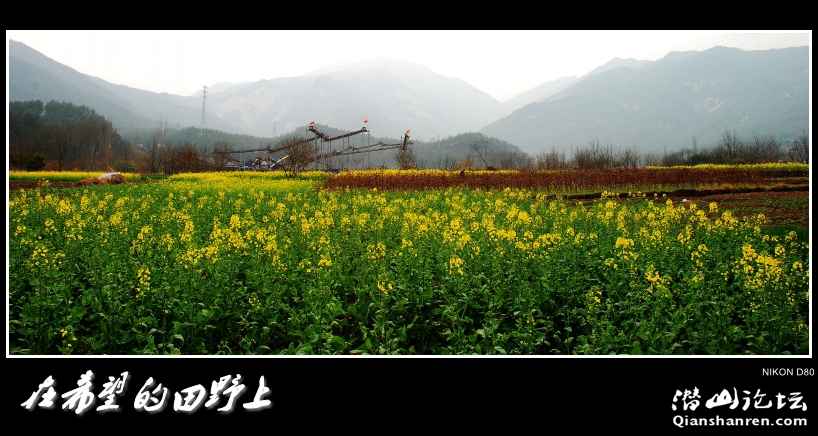 DSC_4661_conew1.jpg