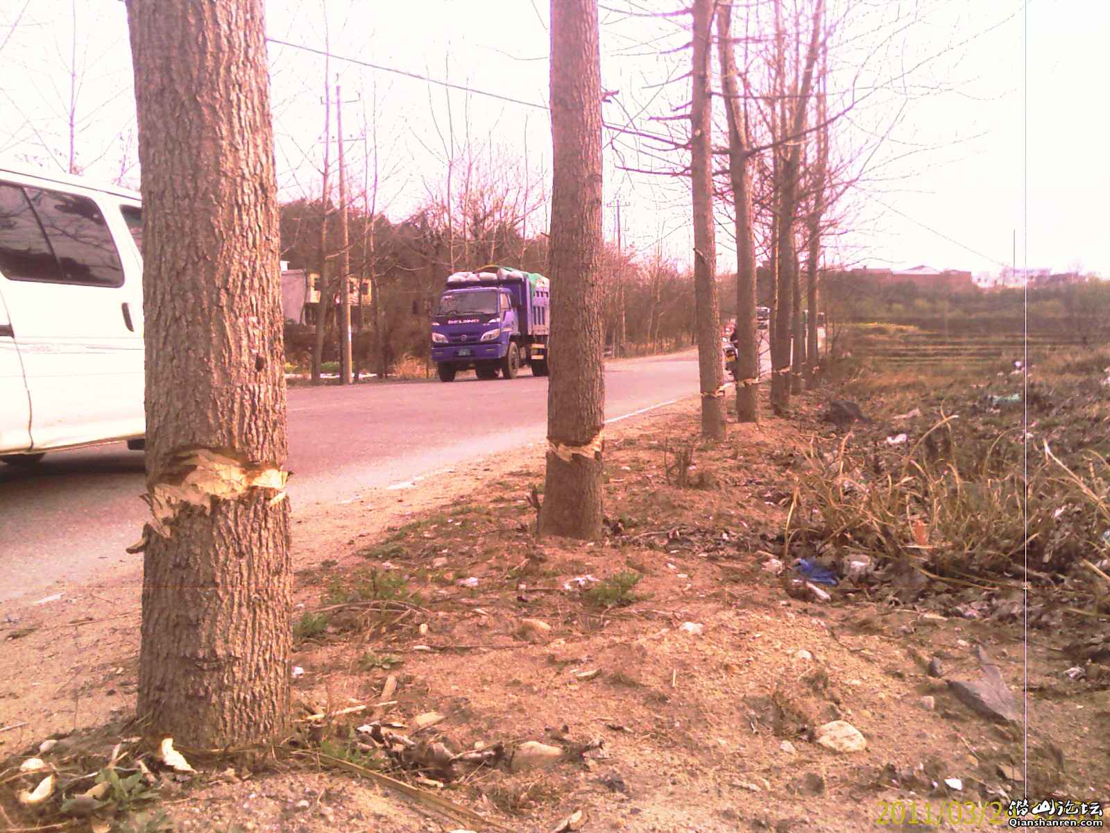 IMAG0327.jpg