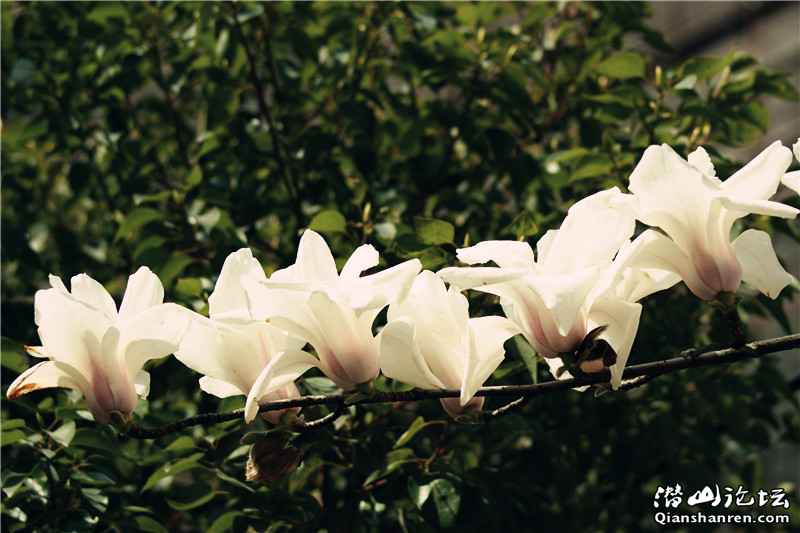 DSC02714_.jpg