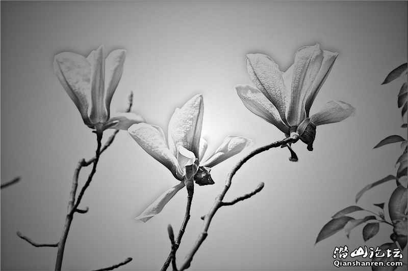 DSC02755_.jpg
