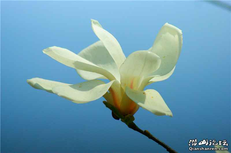 DSC03715_.jpg