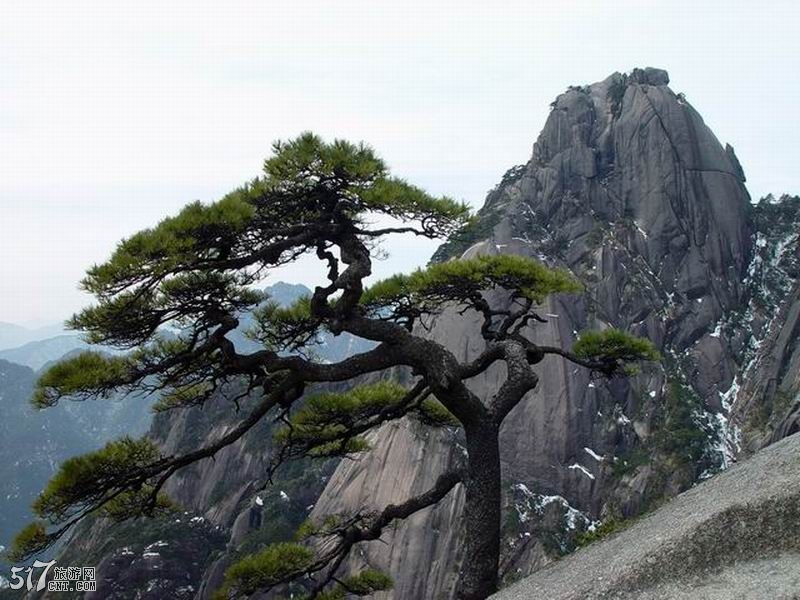 20090408_ffd9829423217740a747mkOHu44xCxa5.jpg