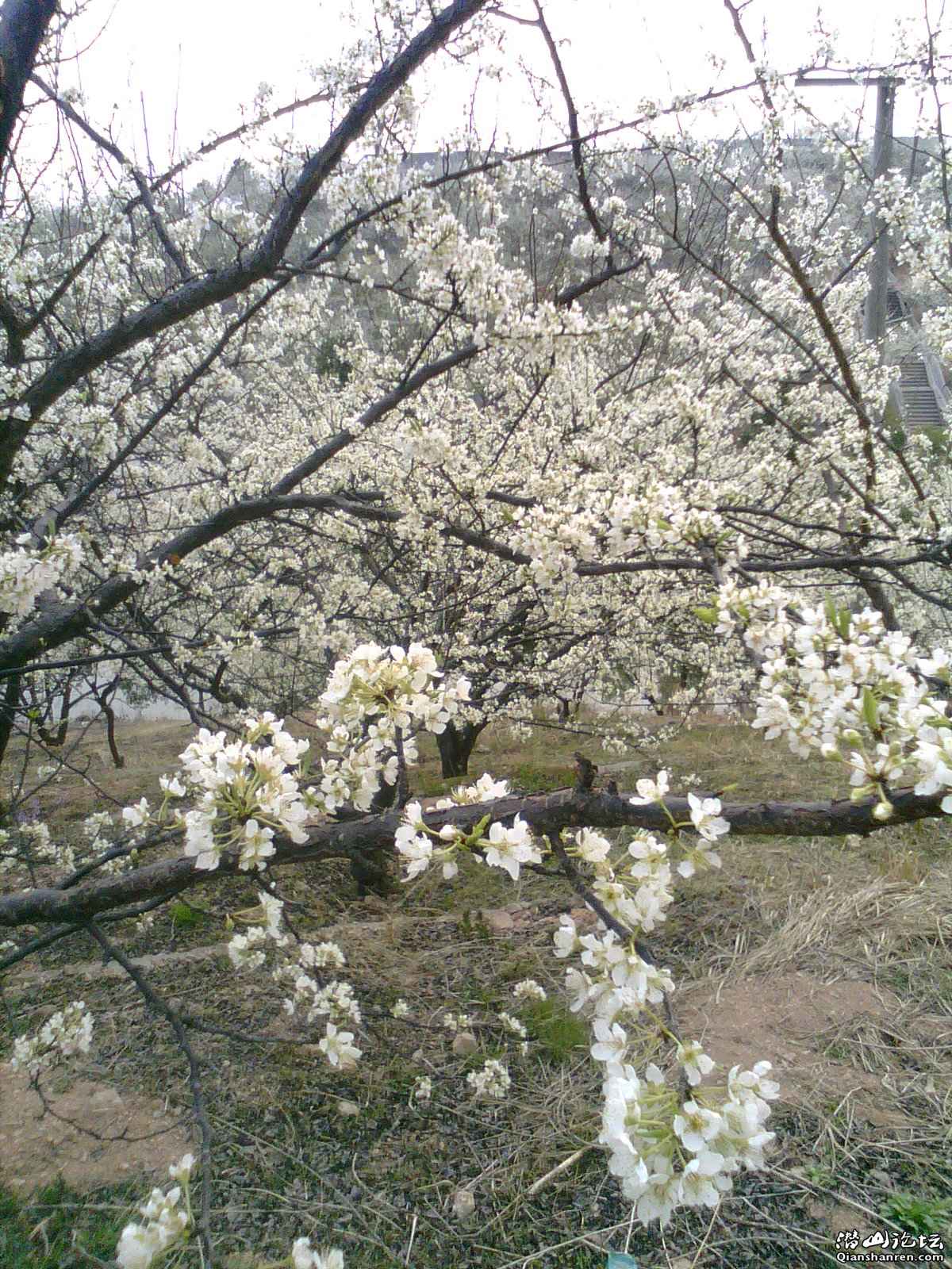 Img_00073.JPG