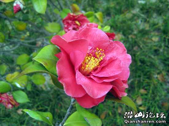 IMG_1998.jpg