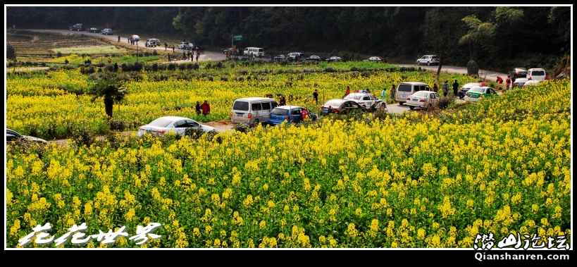 DSC_5072_conew1.jpg