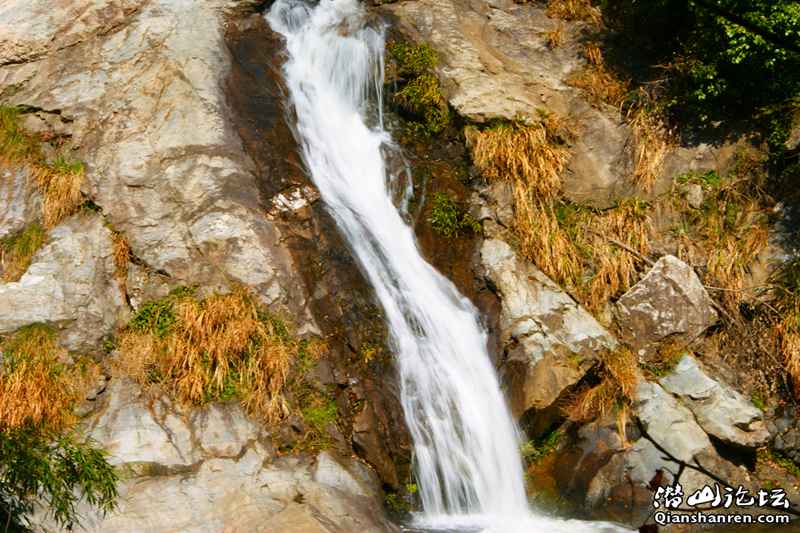 DSC06101_.jpg