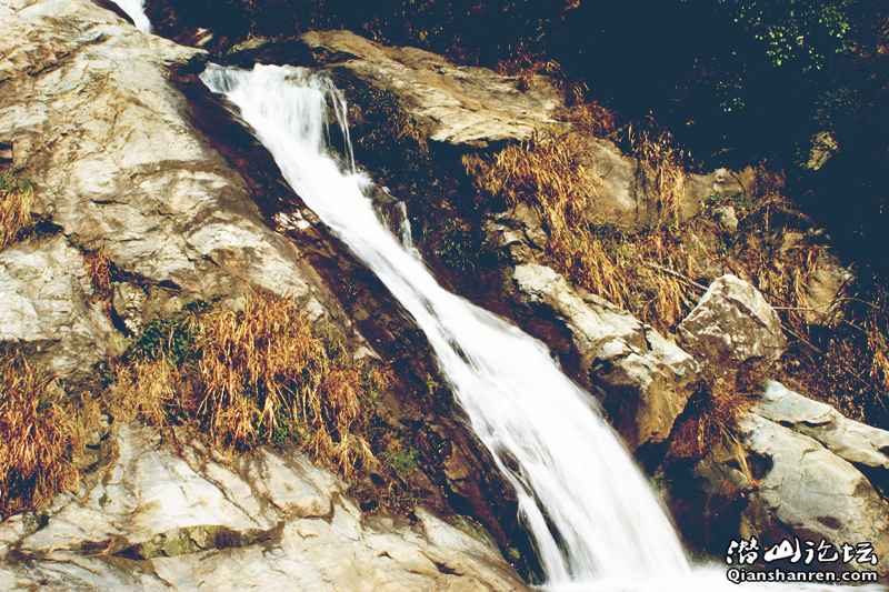 DSC06109_.jpg