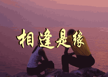 4303410.jpg