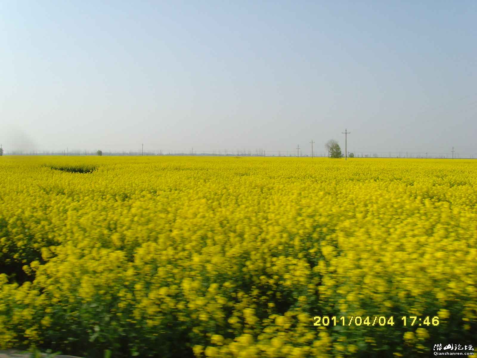 SNV30821.JPG
