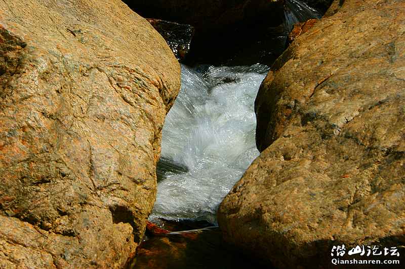 DSC06242_.jpg
