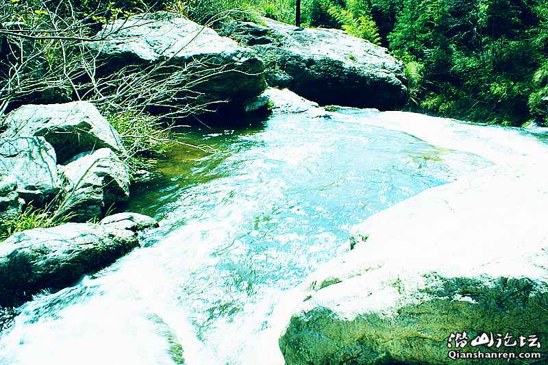 DSC06253_.jpg