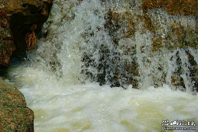 DSC06371_.jpg