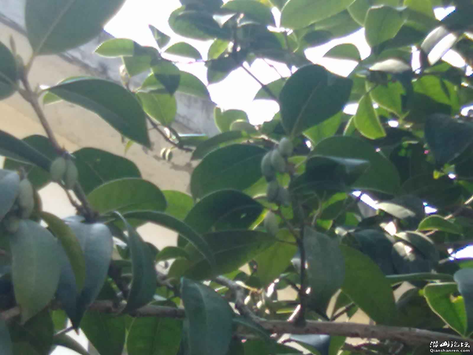20110405149.jpg