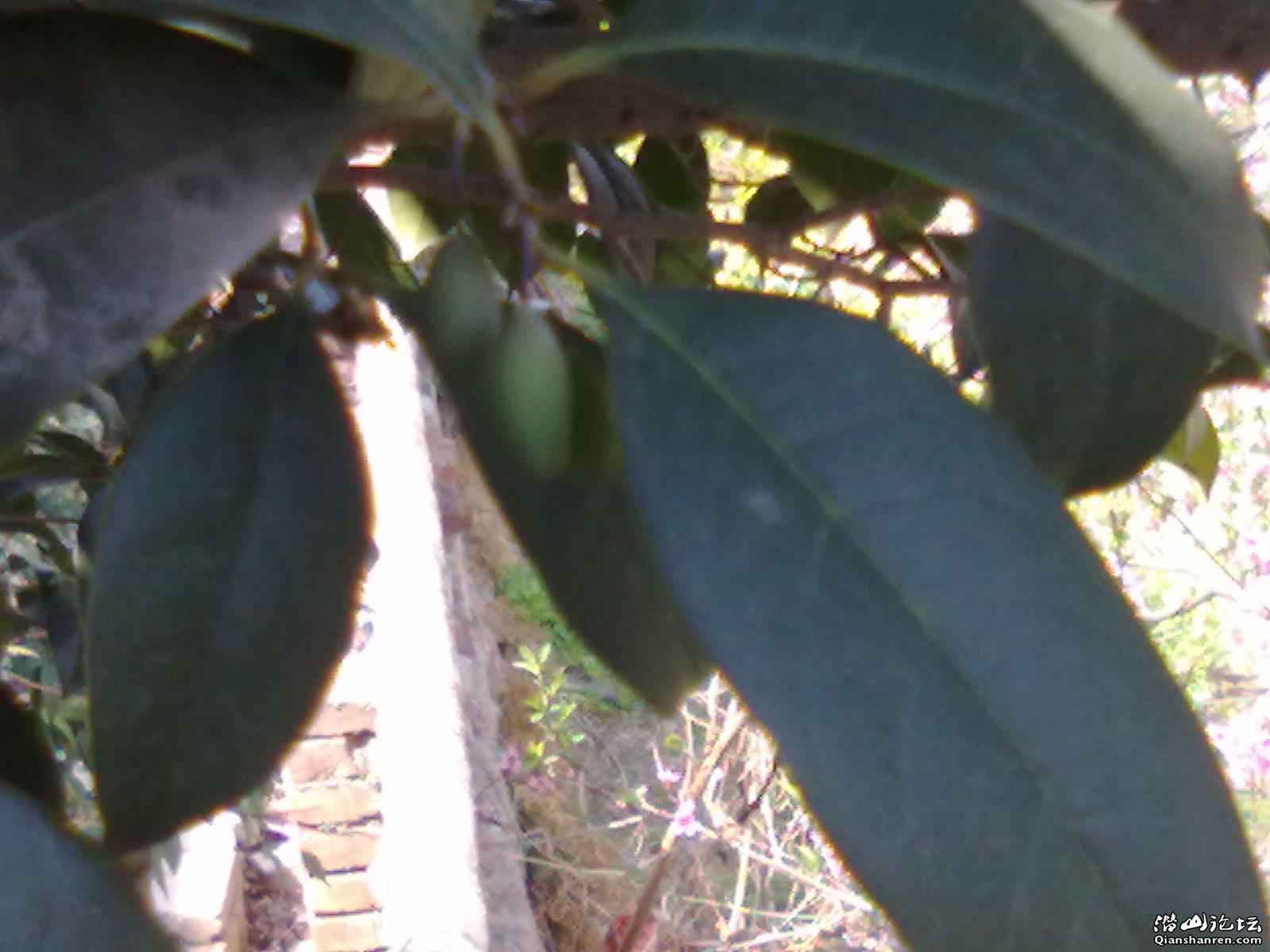 20110405151.jpg