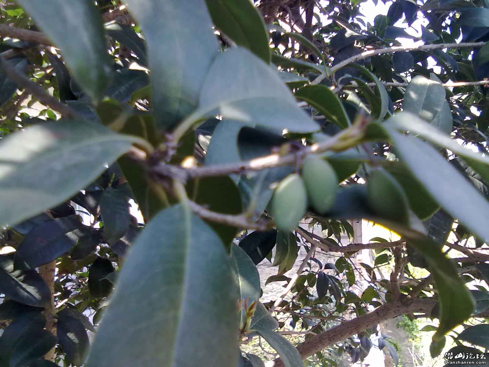 20110405152.jpg