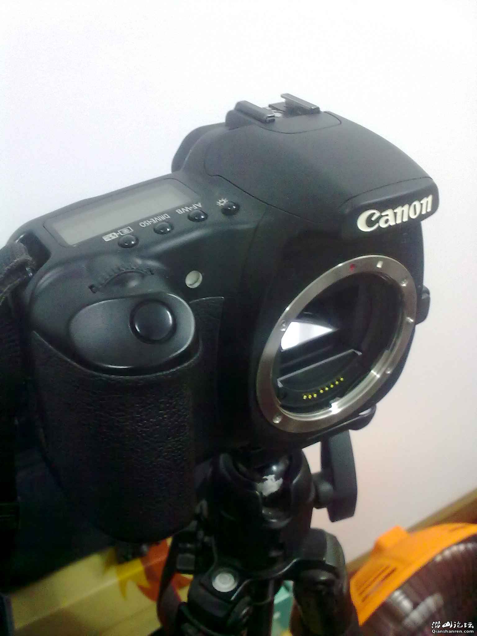 20110411162.jpg