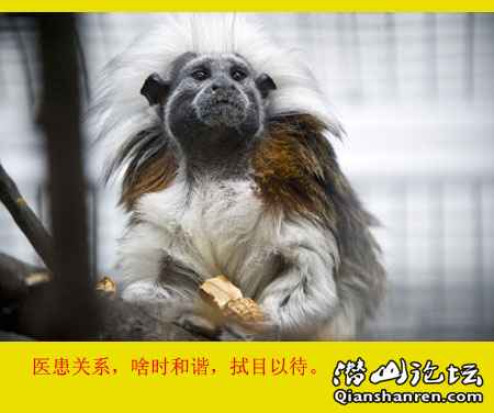 Img266420899.jpg