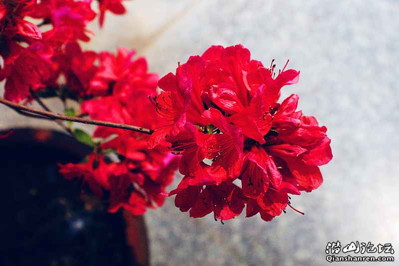 DSC07331_.jpg