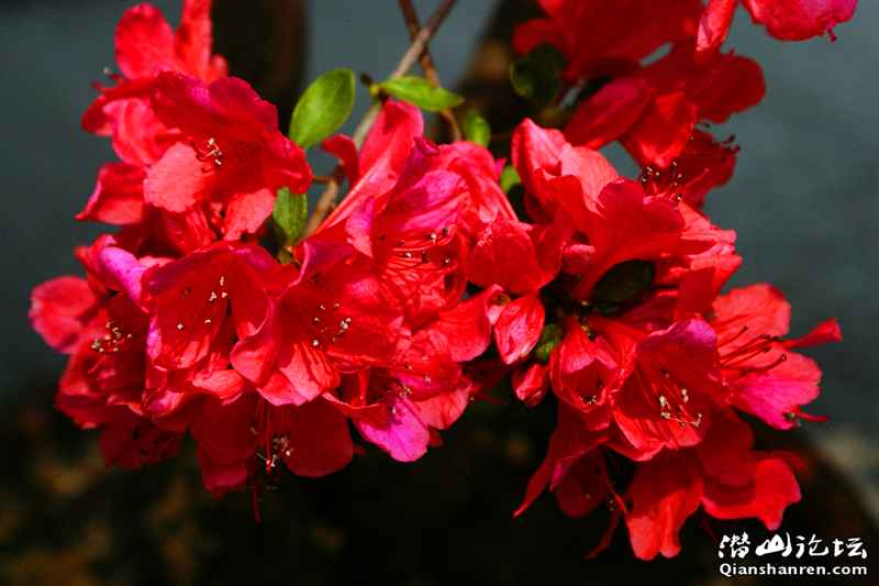 DSC07346_.jpg